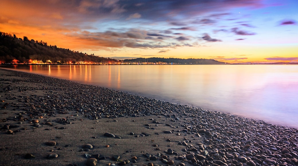 Golden Gardens Sunsets