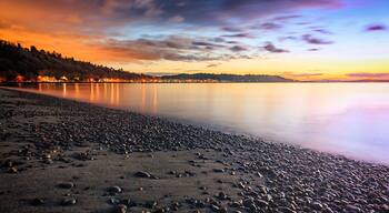 Golden Gardens Sunsets