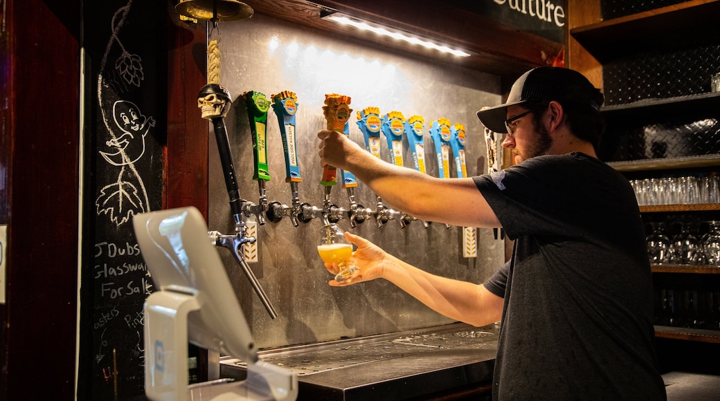 Central Sarasota which includes interior views as well as an individual male