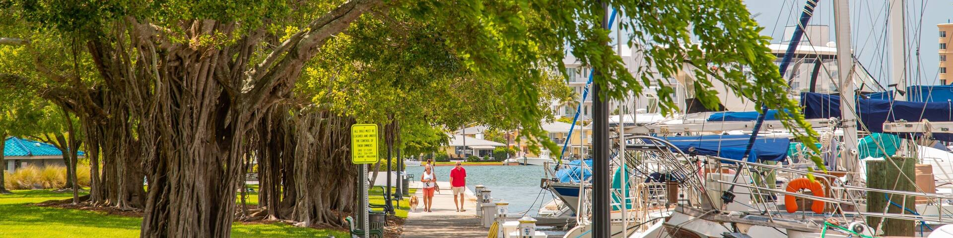 Central Sarasota showing a bay or harbor