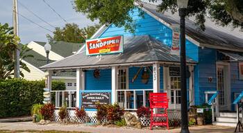 Downtown Dunedin featuring signage