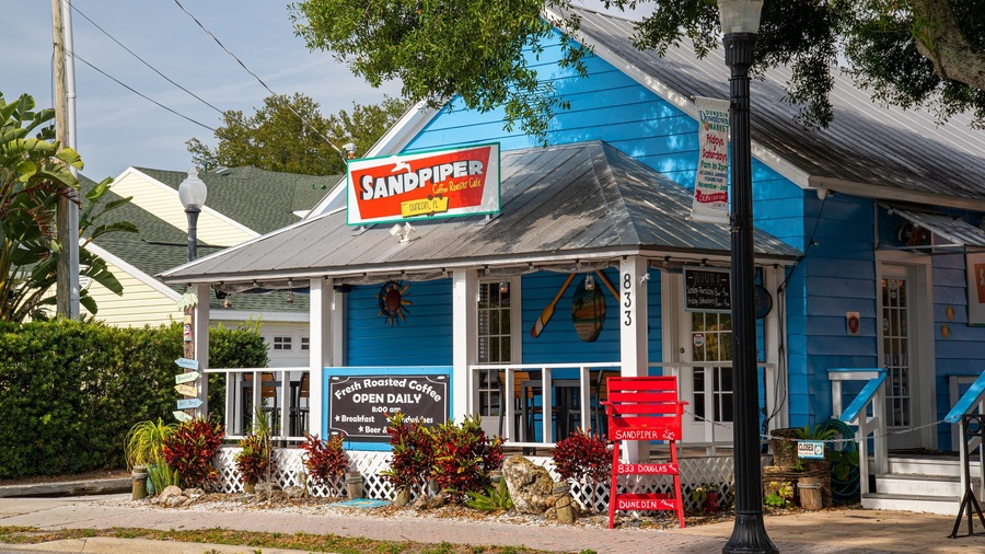 Downtown Dunedin featuring signage