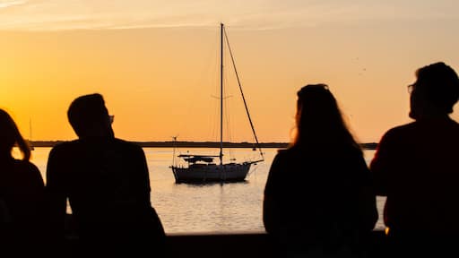 Downtown Dunedin showing a sunset and boating as well as a small group of people
