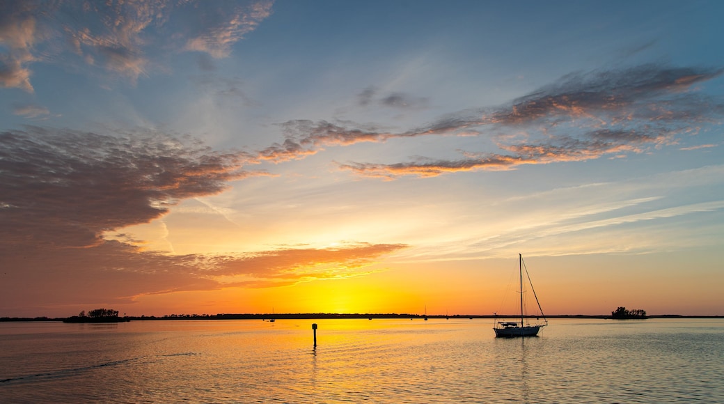 Downtown Dunedin which includes general coastal views and a sunset