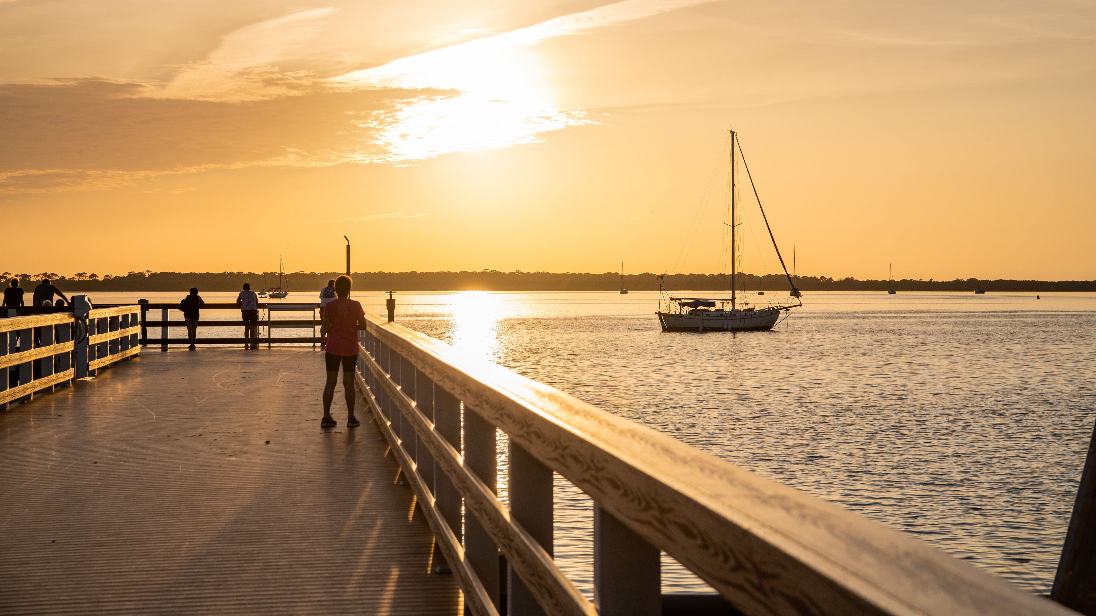 Downtown Dunedin which includes boating, a sunset and general coastal views