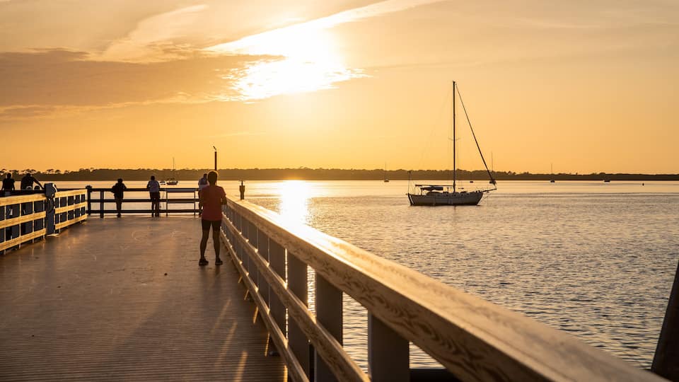 Downtown Dunedin which includes boating, a sunset and general coastal views