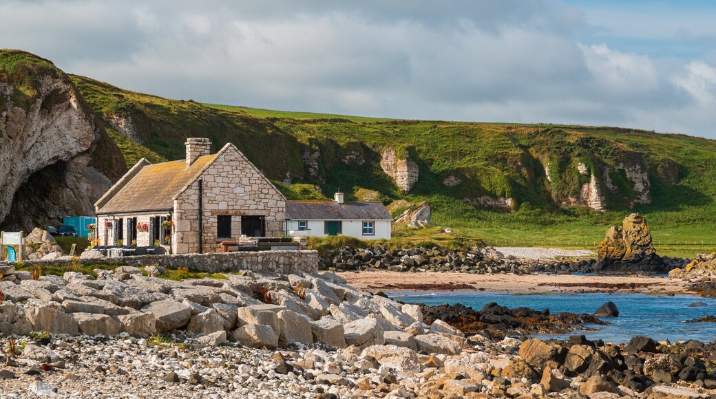 Ballycastle which includes general coastal views, a coastal town and rugged coastline