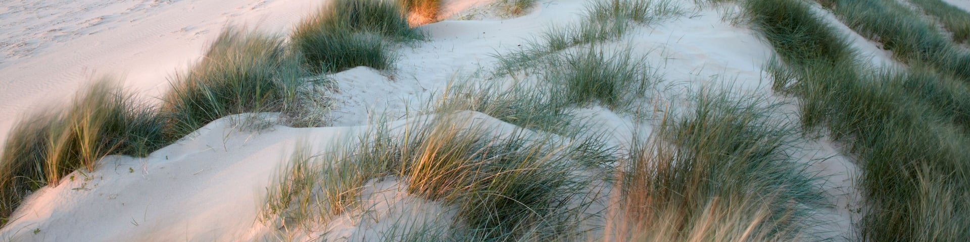 A beach with sand dunes and a view of the ocean.