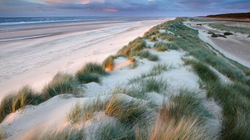 Beautiful light on a summer evening at Holkham Bay, Norfolk