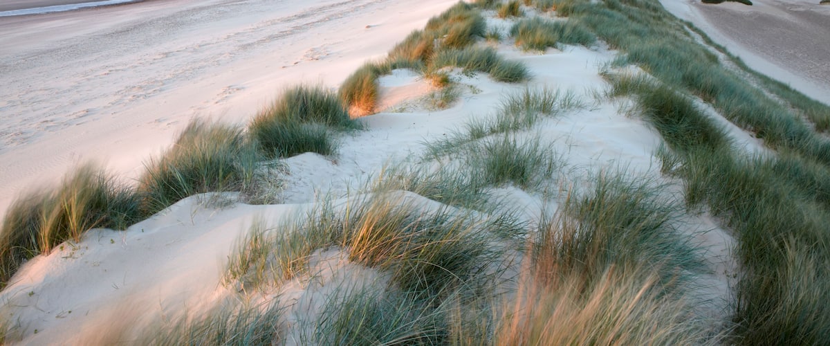 A beach with sand dunes and a view of the ocean.