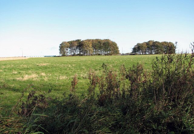 View across part of the former Langham Airfield. The trees in the distance hide farm buildings. Langham airfield was opened at the beginning of WWII as a second satellite airfield for Bircham Newton. During its first two years of operation the airfield was fairly quiet with target towing and air-sea rescue operations being conducted together with some anti-shipping operations performed by a detachment of Fleet Air Arm Swordfish aircraft. In 1942 its status was raised to that of an independent station and for the next 16 months it was closed for a major expansion which included the laying of concrete runways, perimeter tracks and dispersals. Presently the former airfield is used as a poultry farm. One of the most important relics of its military past is the so-called Langham Dome > 1024546 - a former training facility, which still stands near the airfield. http://www.rafbnmp.org.uk/langham.htm