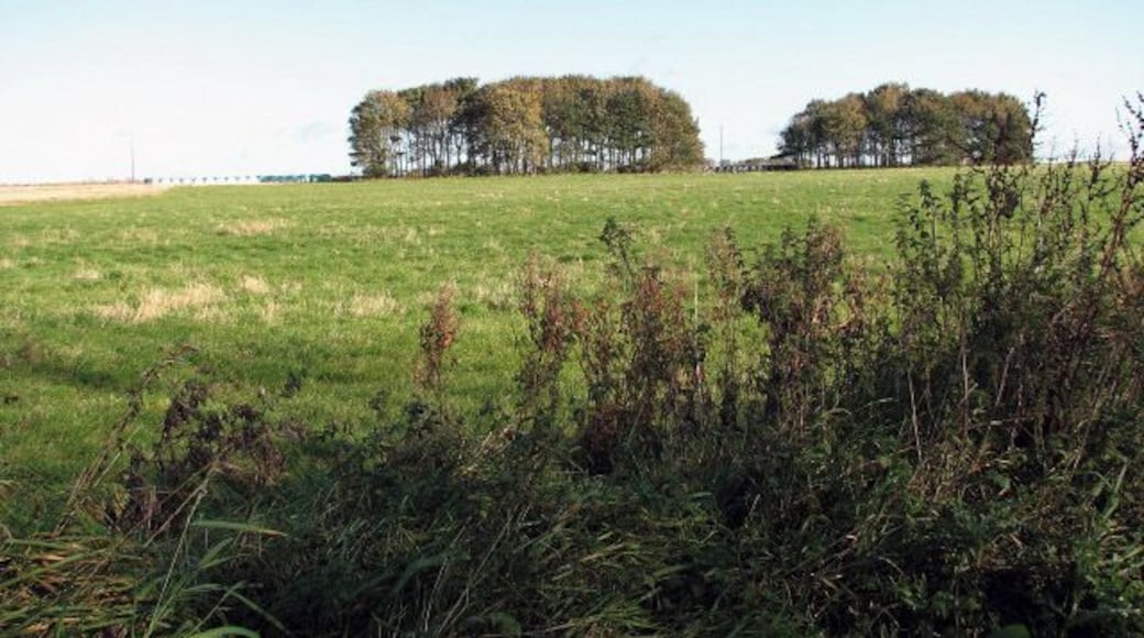 View across part of the former Langham Airfield. The trees in the distance hide farm buildings. Langham airfield was opened at the beginning of WWII as a second satellite airfield for Bircham Newton. During its first two years of operation the airfield was fairly quiet with target towing and air-sea rescue operations being conducted together with some anti-shipping operations performed by a detachment of Fleet Air Arm Swordfish aircraft. In 1942 its status was raised to that of an independent station and for the next 16 months it was closed for a major expansion which included the laying of concrete runways, perimeter tracks and dispersals. Presently the former airfield is used as a poultry farm. One of the most important relics of its military past is the so-called Langham Dome > 1024546 - a former training facility, which still stands near the airfield. http://www.rafbnmp.org.uk/langham.htm