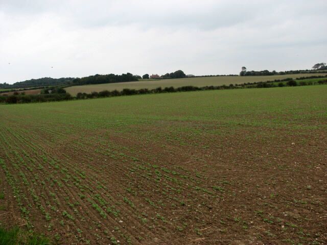 View across farmland towards New Barn Farm