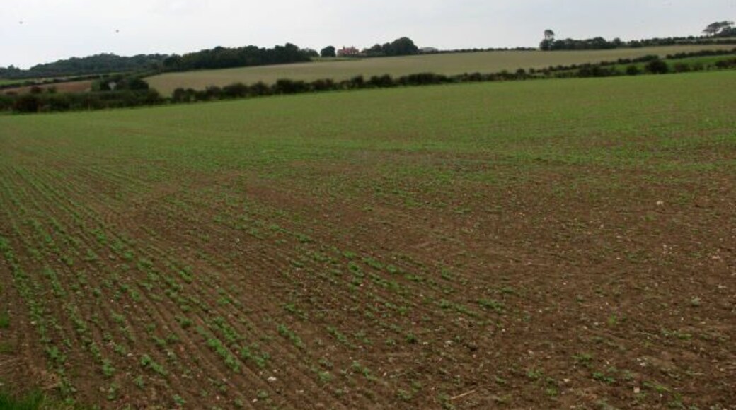 View across farmland towards New Barn Farm