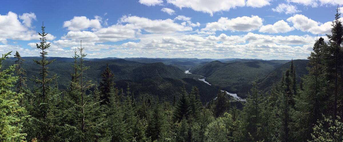 A mountainous landscape with dense forests and a river valley.