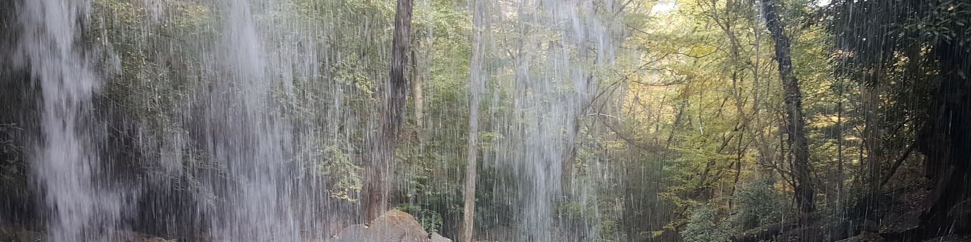 Pringle Run Falls. A glimpse from the other side. #AquaTrove