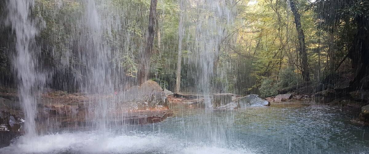 A waterfall in a forested area with clear water flowing over rocks.