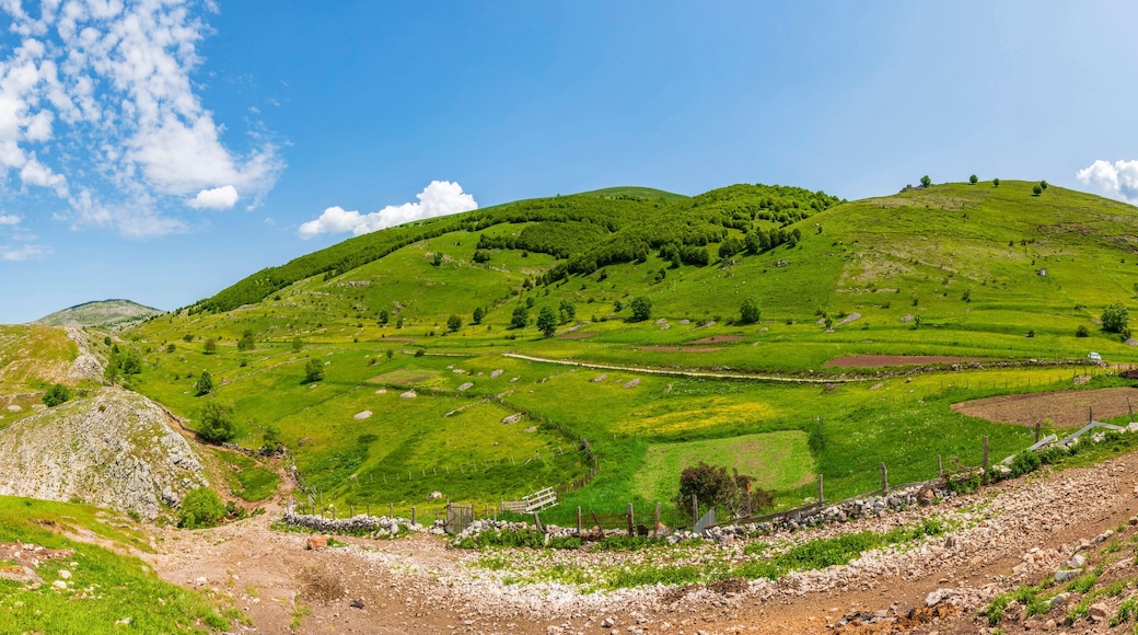 بييلاشنيتسا