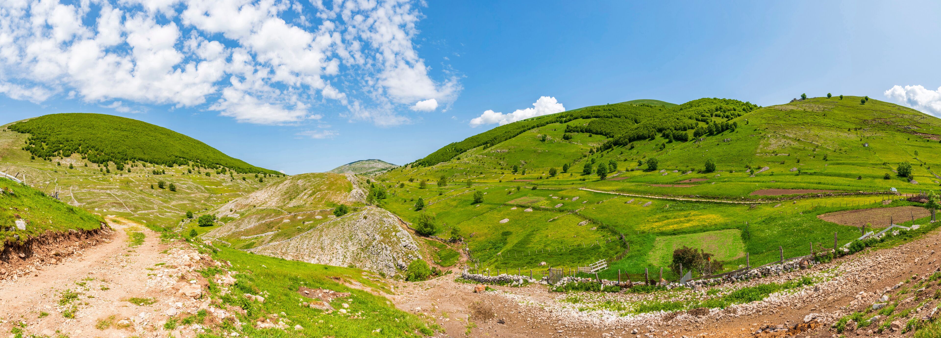 A lush green valley with rolling hills, a dirt path, and scattered trees.
