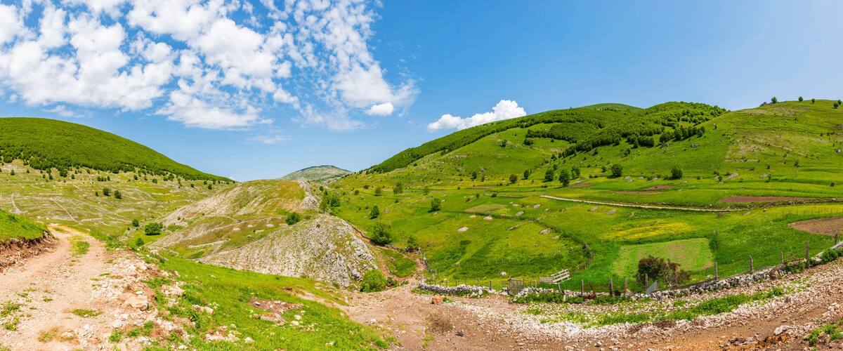 A lush green valley with rolling hills, a dirt path, and scattered trees.