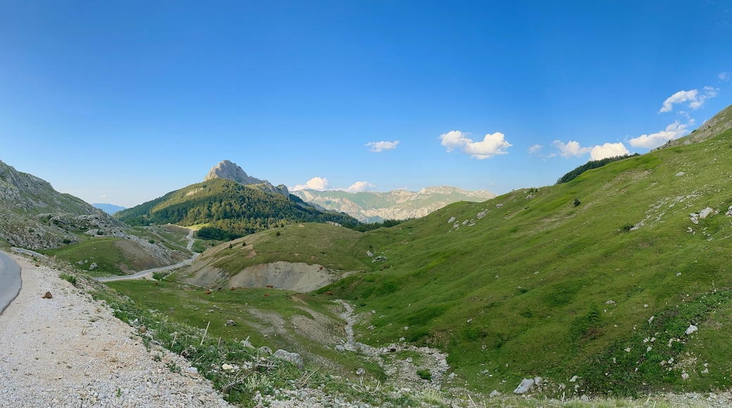 بييلاشنيتسا