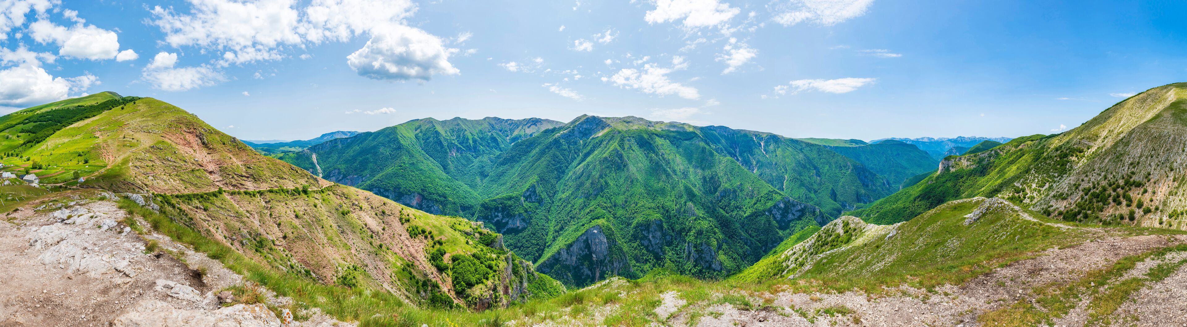 بييلاشنيتسا