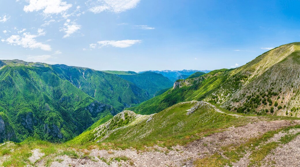 بييلاشنيتسا