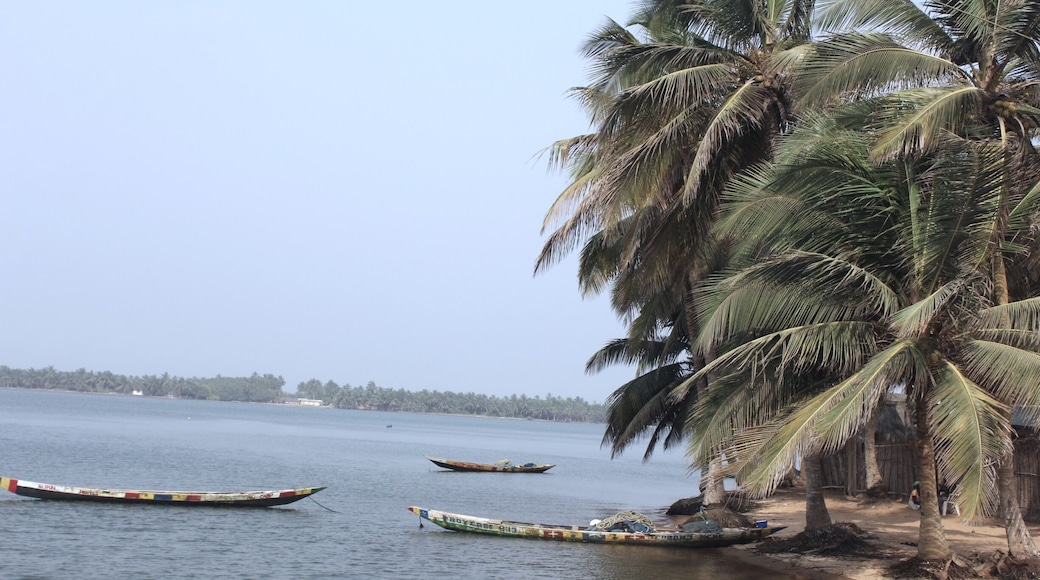 A view from the township