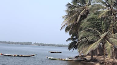 A view from the township