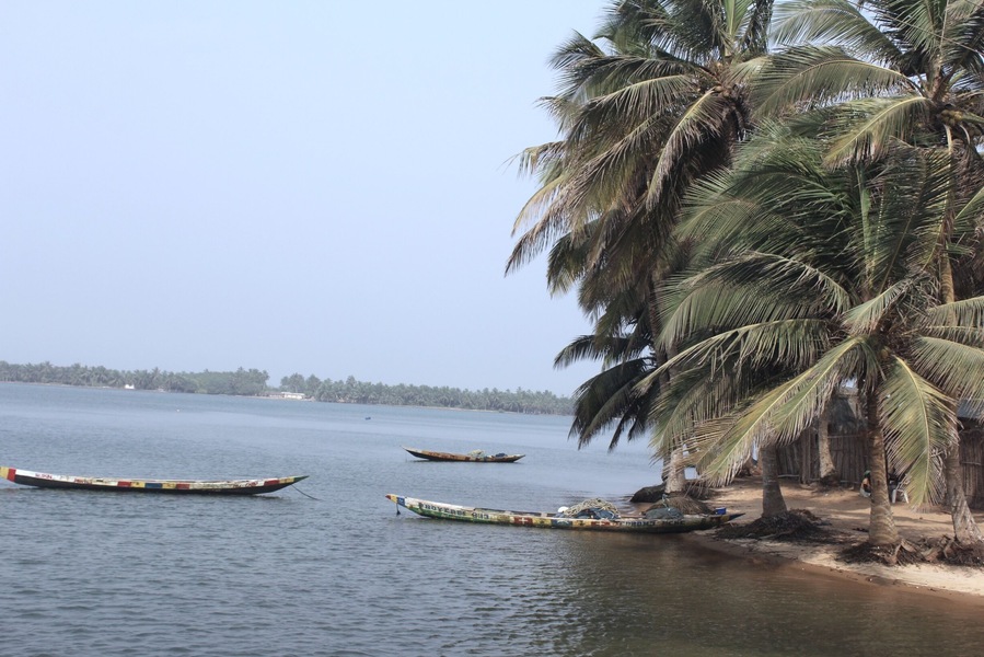A view from the township