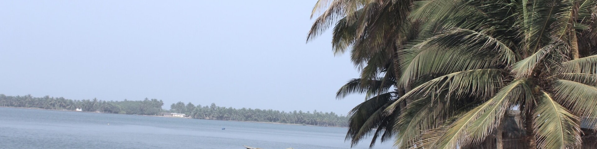 A view from the township