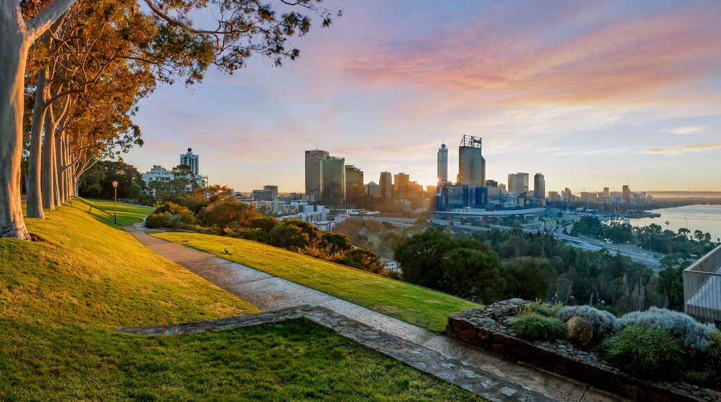 Cityscape of Perth Western Australia as the sun rises. The photo was taken in Kings Park