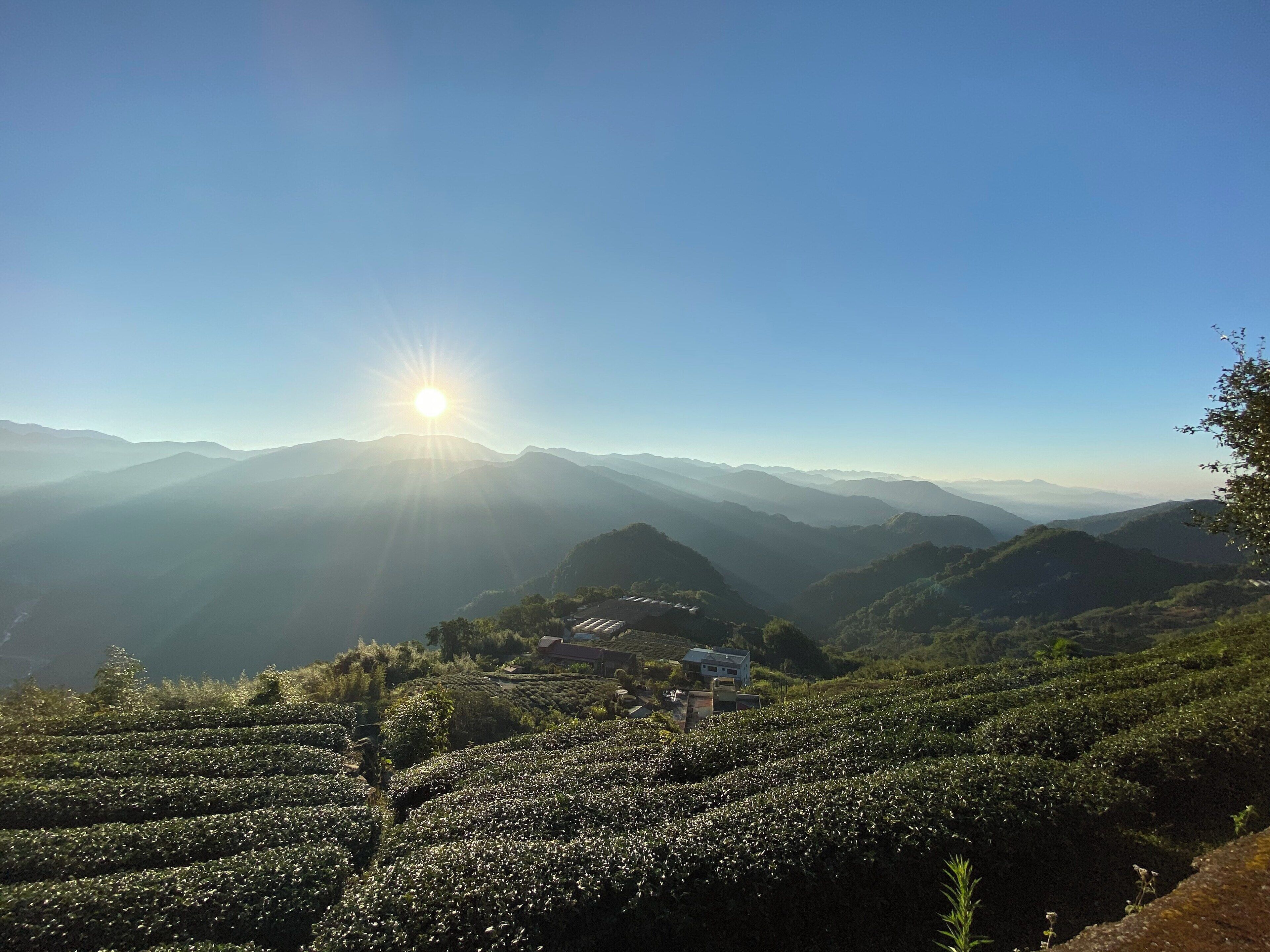 Fancy waking up to fresh air and a beautiful sunrise overlooking tea plantations? This view is round the corner (literally 2-minutes) from the Alishan Tea Garden B&B. There are usually locals also waiting to catch the sunrise so listen to their cues on what time would give you the best shot! #LifeAtExpedia