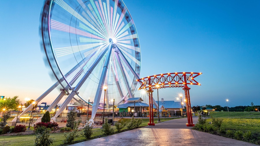 Branson Ferris Wheel featuring a garden and night scenes