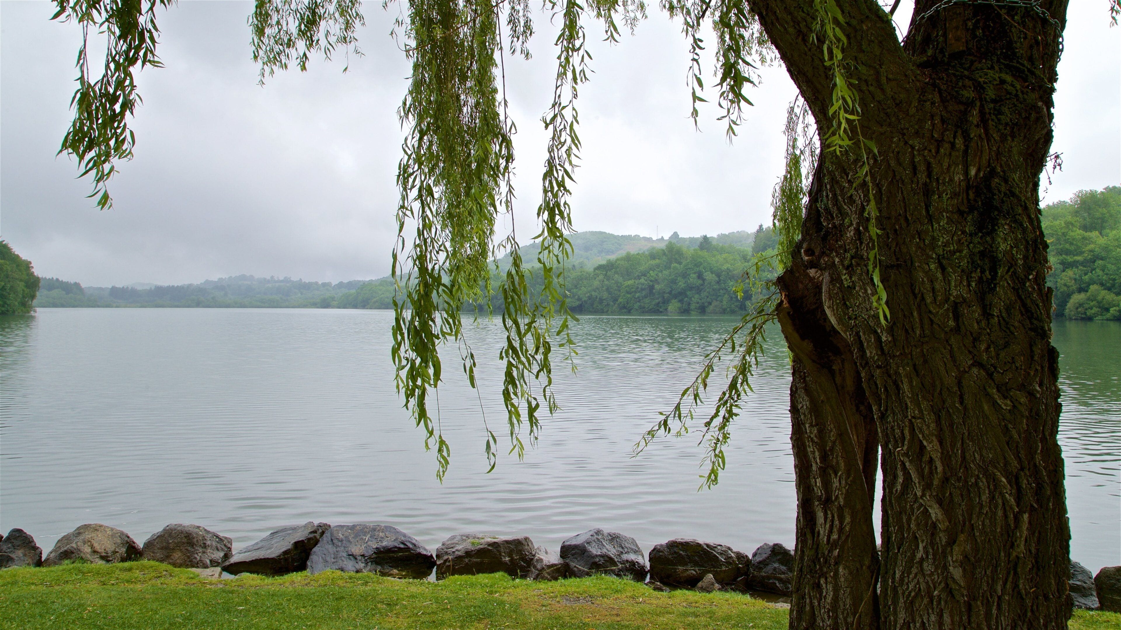 Lac de Lourdes que inclui um lago ou charco