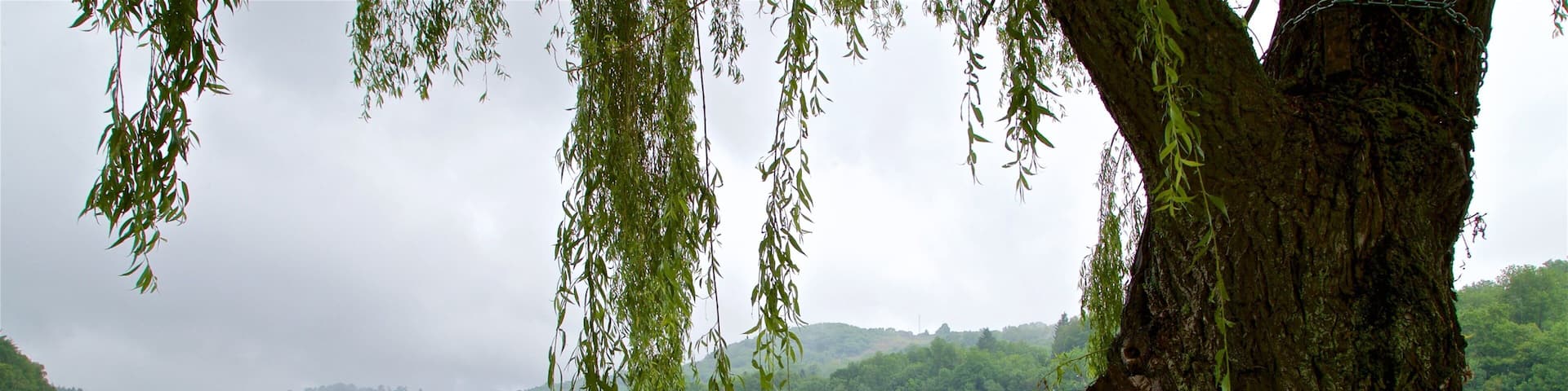 Lac de Lourdes featuring a lake or waterhole