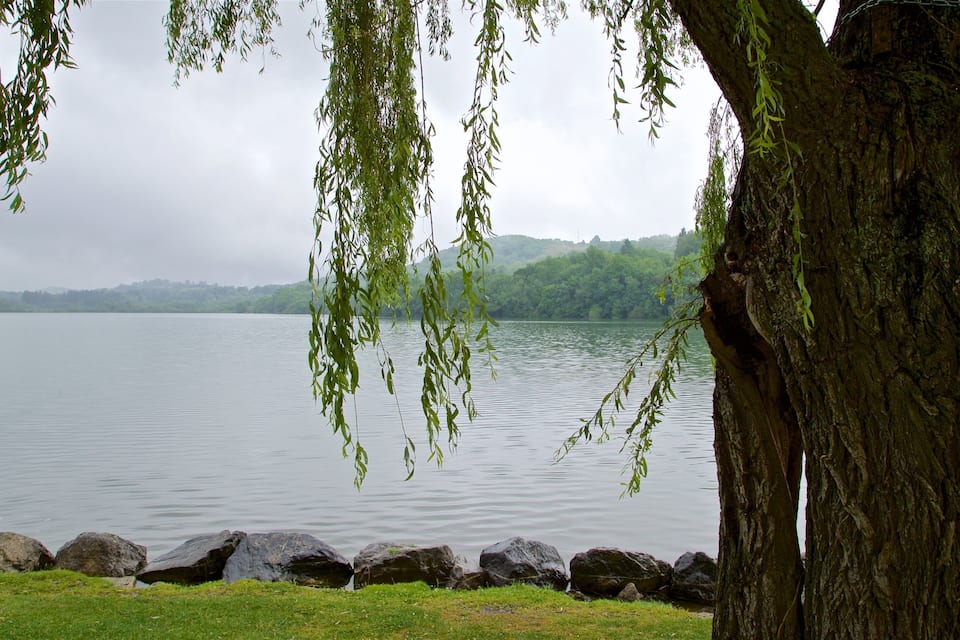 Um lago tranquilo com uma árvore em primeiro plano e uma colina arborizada ao fundo.