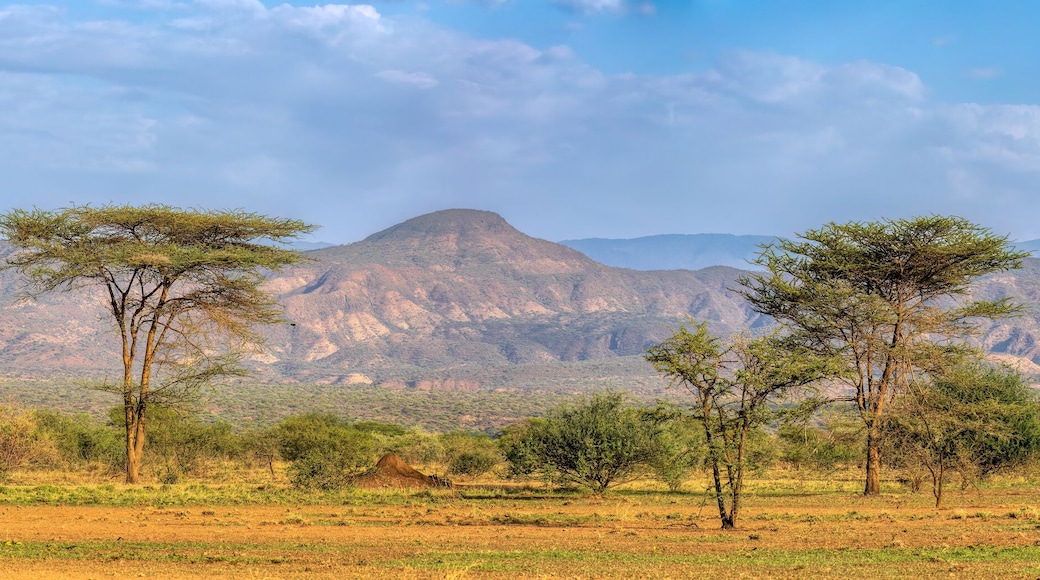 Savanna in the Awash National Park, Ethiopia
