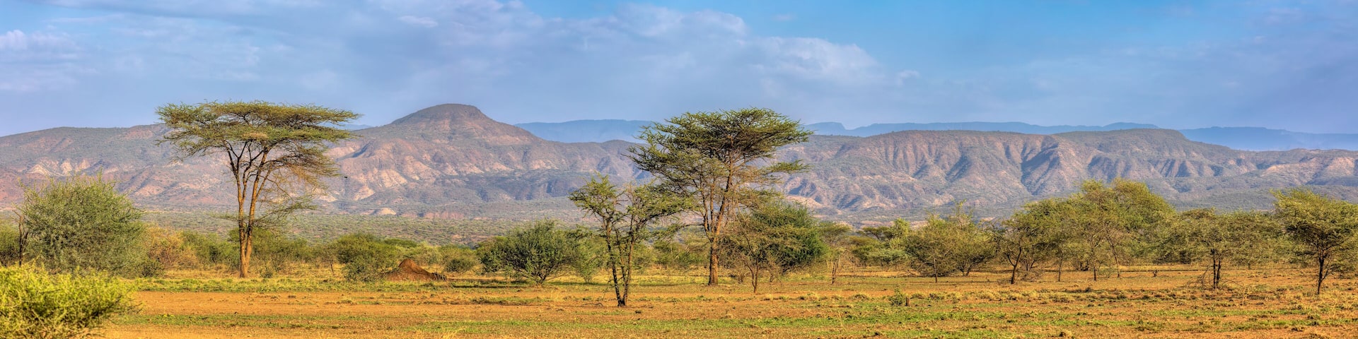 Savanna in the Awash National Park, Ethiopia