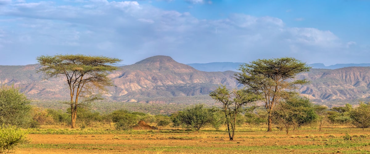 A savanna landscape with acacia trees and distant mountains under a clear sky.