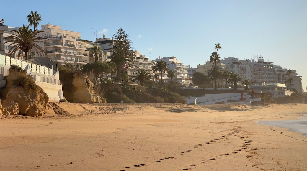 A sandy beach with footprints leading to the water, palm trees, and coastal buildings.