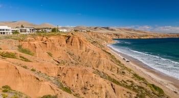 Sellicks Beach featuring general coastal views and a coastal town