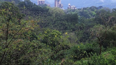 Un paesaggio verde e rigoglioso, con fitta vegetazione e alcuni edifici sullo sfondo.