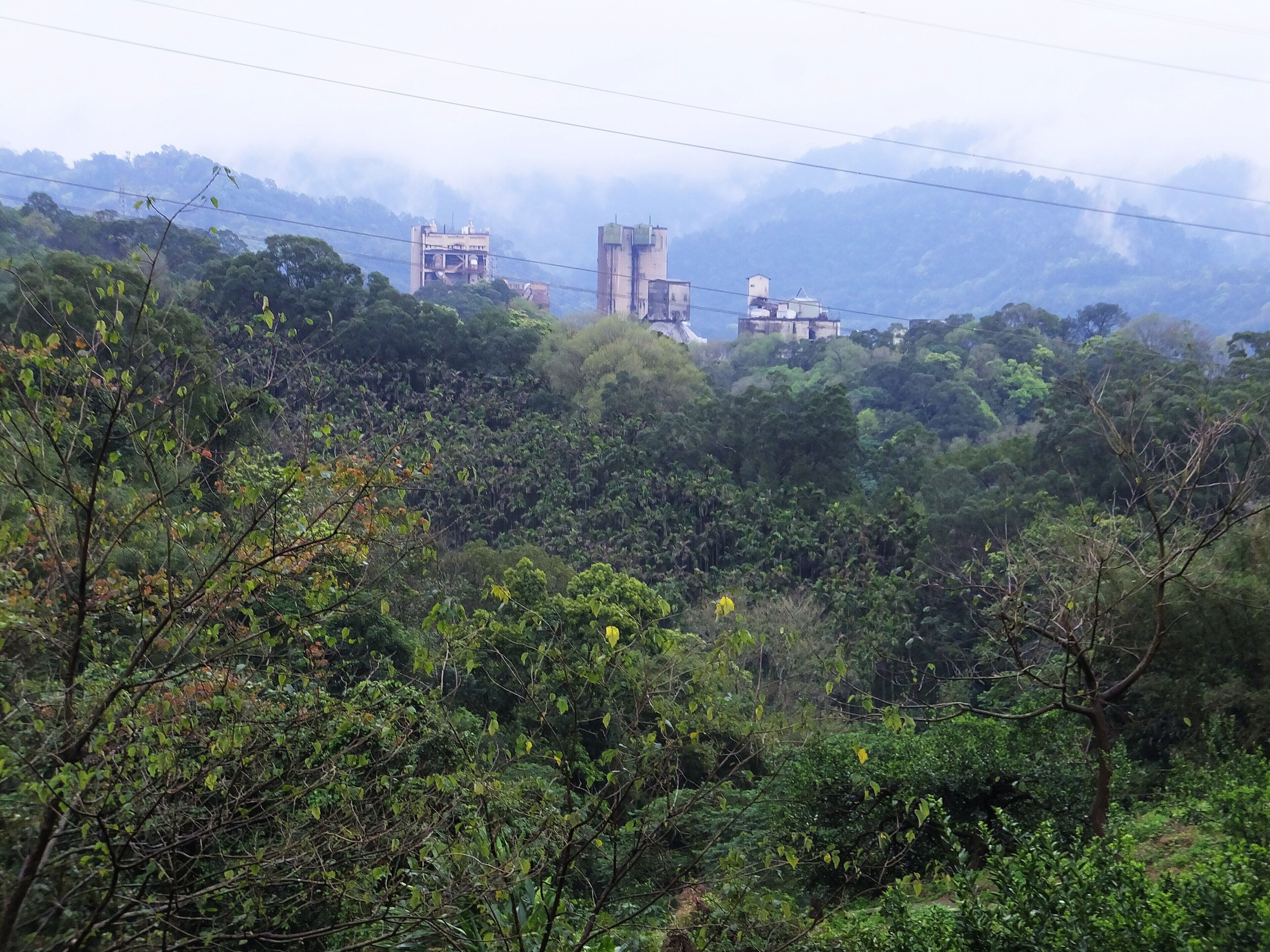 A lush green landscape with dense foliage and a few buildings in the background.