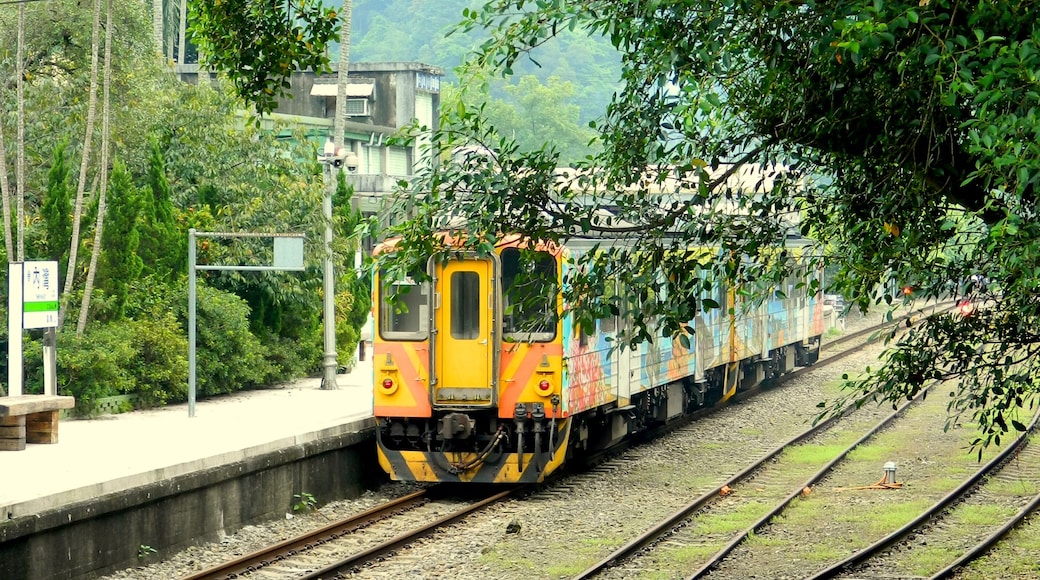 ๅ
ง็ฃ็ซ้ต่ทฏ็ทๅๅ่ป๏ผTracks and Train in Neiwan Sta