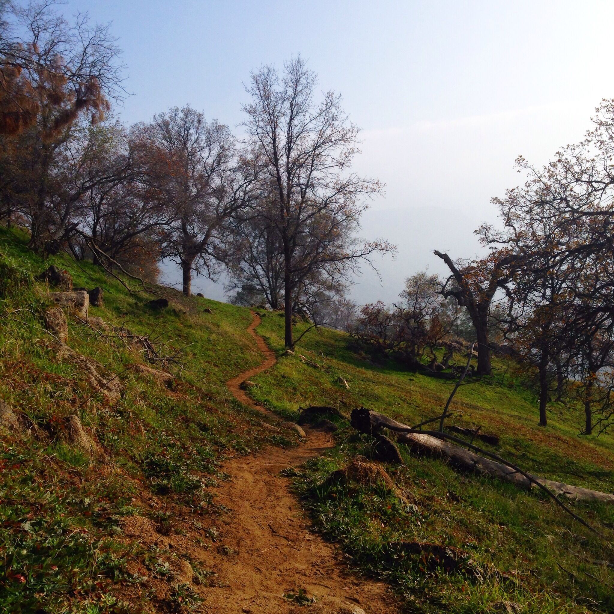 Lovely and steep scenery on the Pa'san Ridge Trail in San Joaquin River Gorge in Northern California. This loop is approximately six miles, depending where you park you car, and lots of terrain! Fantastic hike/run! But tell someone where you'll be, it's quite remote if you twist and ankle or some such.