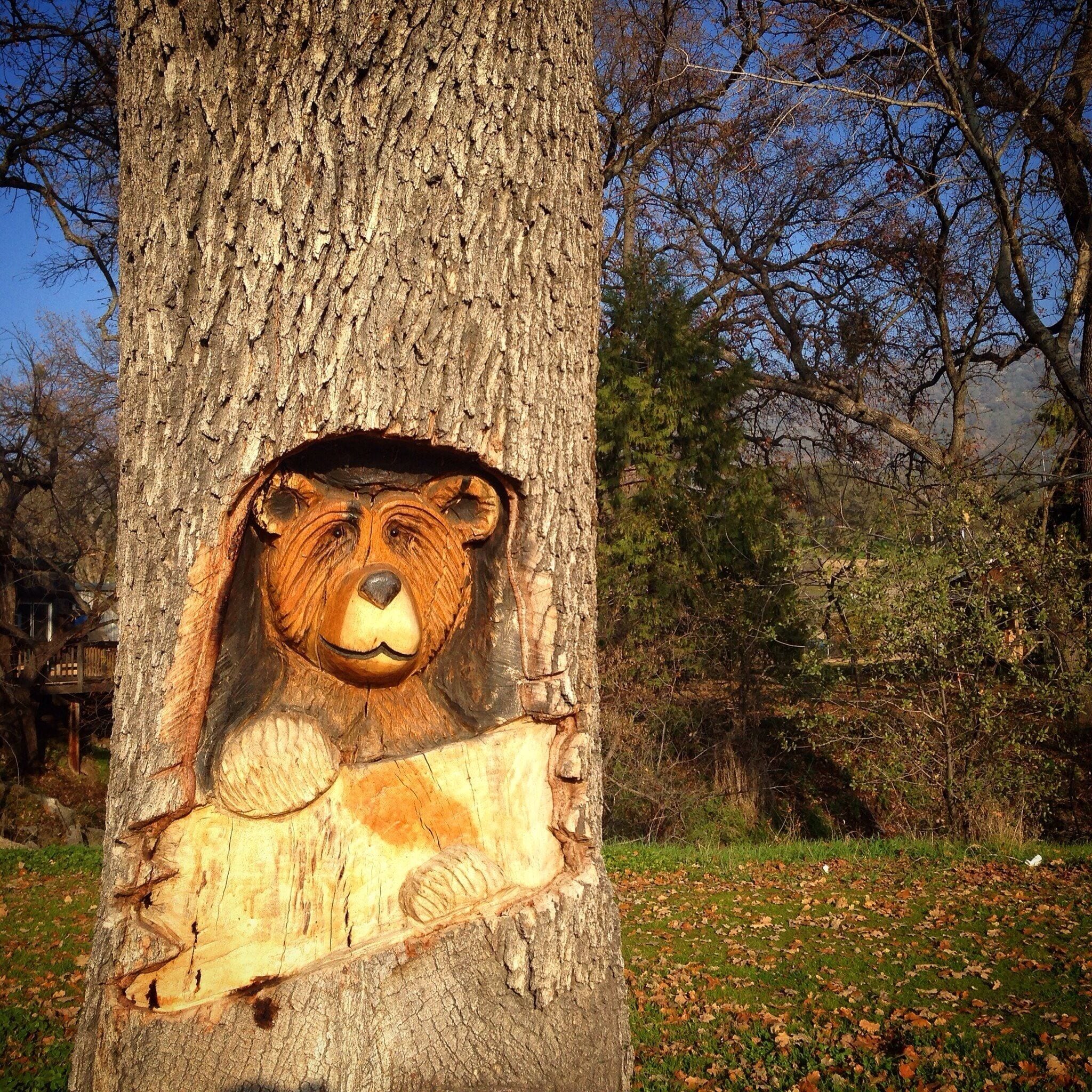 Keep your eyes peeled when you're driving through Auberry and you'll spot fun, quirky things like this carved tree on the side of the road.