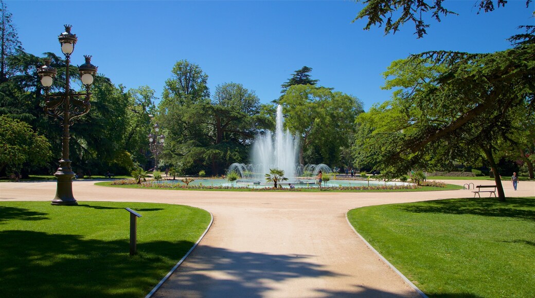 Tolosa mostrando giardino e fontana