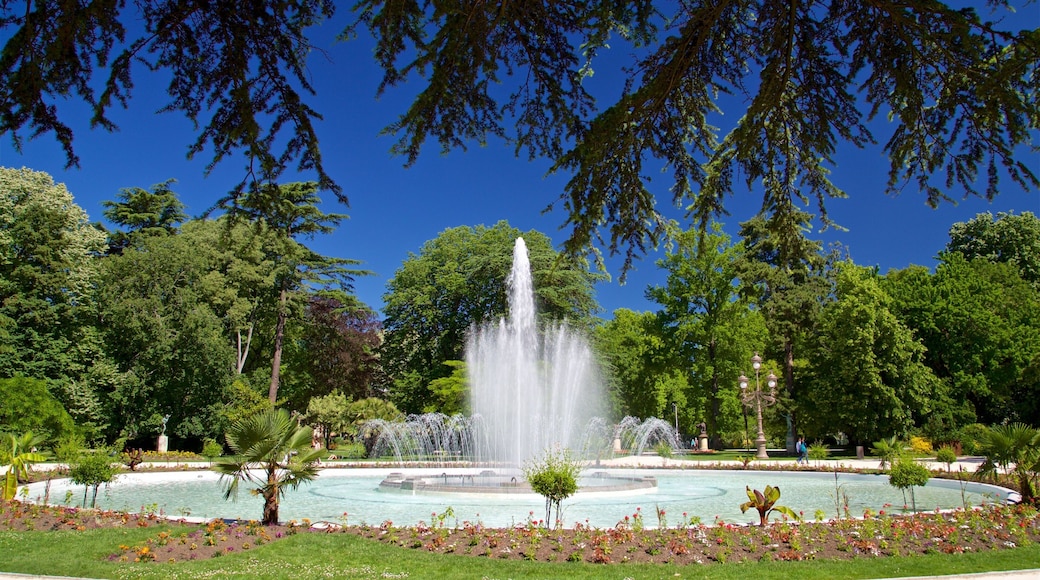 Toulouse mostrando una fuente y un parque