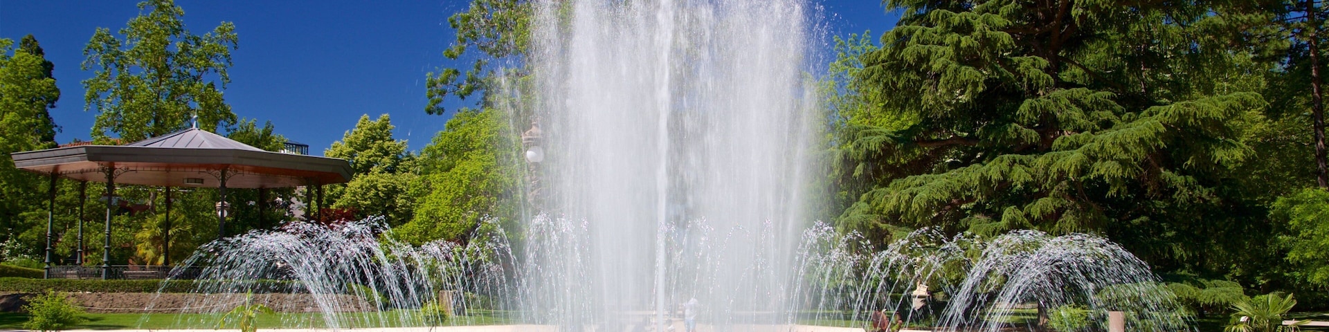 Toulouse showing a fountain